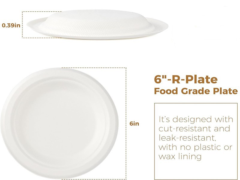 6 inch Paper Plate
